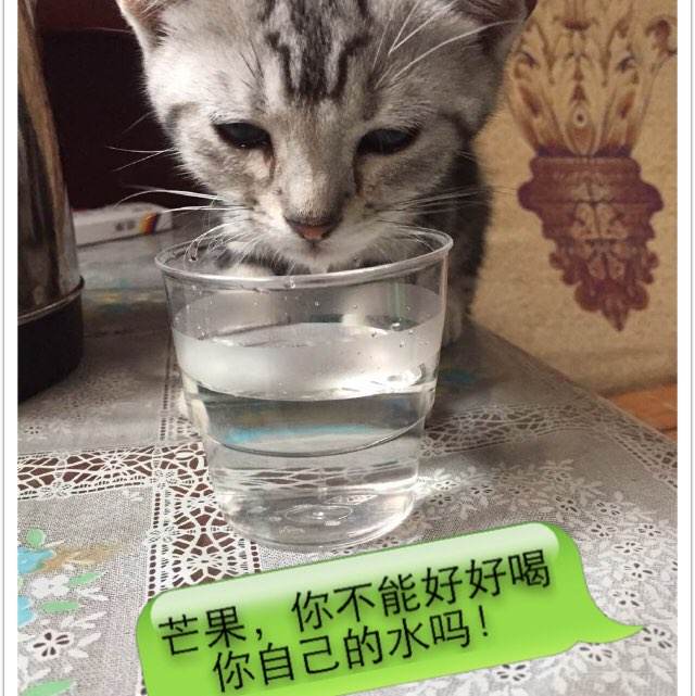 Otterbein College学士证书